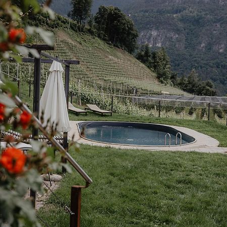 Engadiner Apartments & Wines 蒙塔尼亚 外观 照片