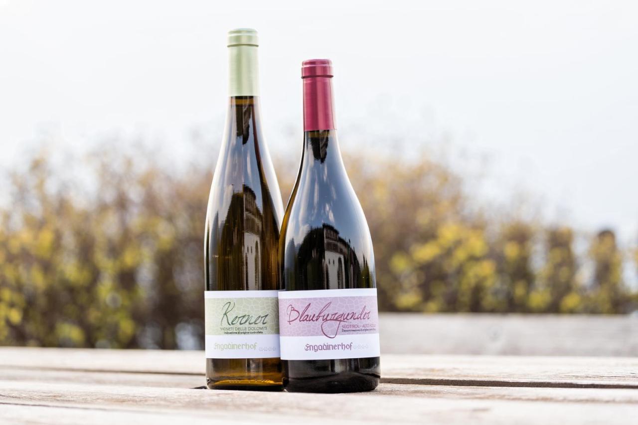 Engadiner Apartments & Wines 蒙塔尼亚 外观 照片