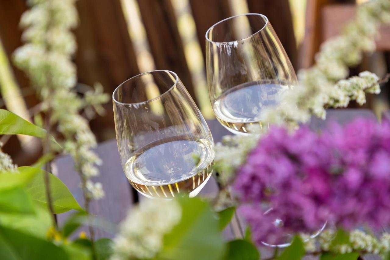 Engadiner Apartments & Wines 蒙塔尼亚 外观 照片