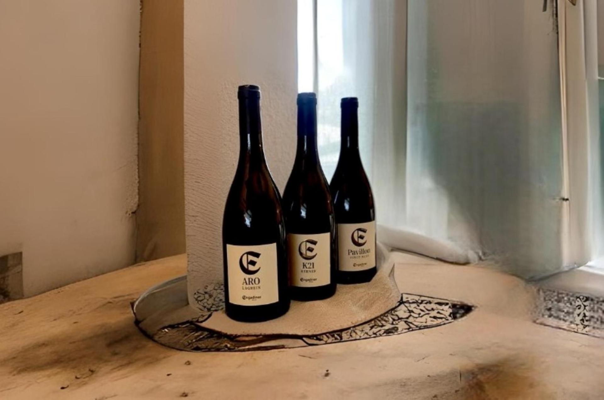 Engadiner Apartments & Wines 蒙塔尼亚 外观 照片