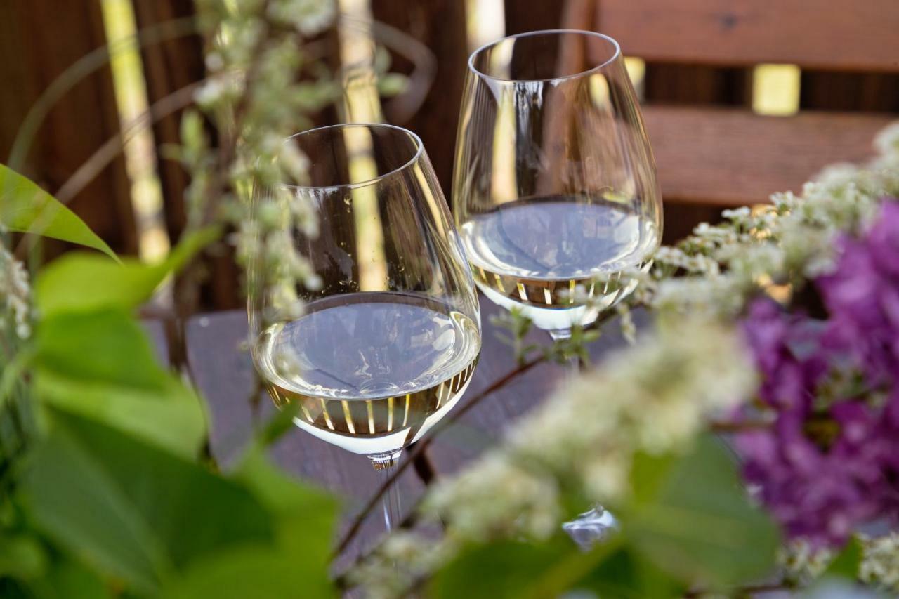 Engadiner Apartments & Wines 蒙塔尼亚 外观 照片