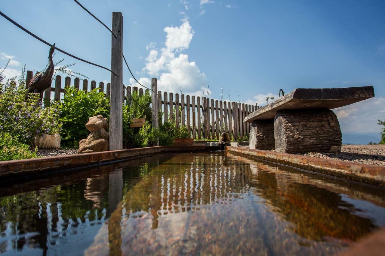 Engadiner Apartments & Wines 蒙塔尼亚 外观 照片